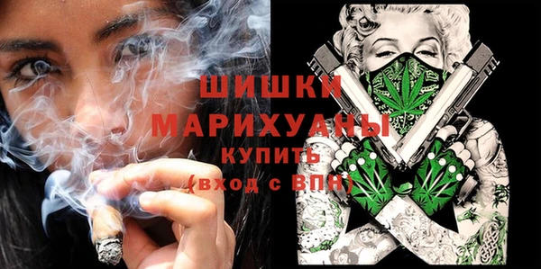 прущий лед Богородицк