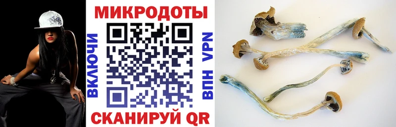 Псилоцибиновые грибы мухоморы  купить наркотик  даркнет Telegram  Надым 